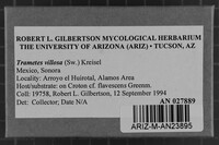 Image Associated With the Occurrence