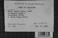 Image Associated With the Occurrence