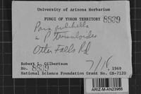 Image Associated With the Occurrence