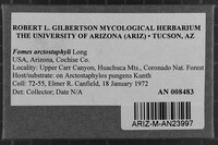 Fomes arctostaphyli image