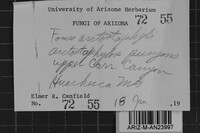 Fomes arctostaphyli image