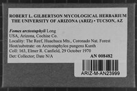 Fomes arctostaphyli image