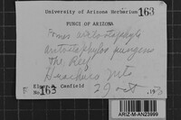 Fomes arctostaphyli image