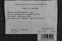 Fomes arctostaphyli image