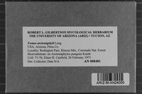 Fomes arctostaphyli image