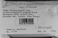 Fomes arctostaphyli image