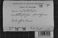 Fomes arctostaphyli image