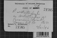 Fomes arctostaphyli image