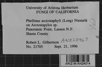 Fomes arctostaphyli image