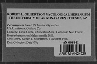 Image Associated With the Occurrence