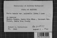 Image Associated With the Occurrence