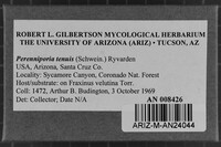 Image Associated With the Occurrence