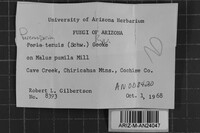 Image Associated With the Occurrence