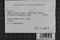 Image Associated With the Occurrence