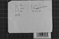 Fomes arctostaphyli image