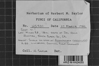 Fomes arctostaphyli image