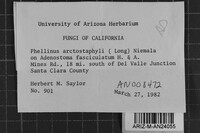 Fomes arctostaphyli image