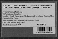 Fomes arctostaphyli image