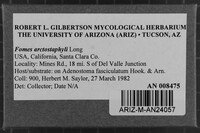 Fomes arctostaphyli image