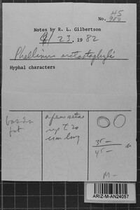 Fomes arctostaphyli image