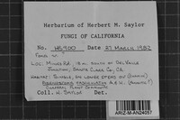 Fomes arctostaphyli image