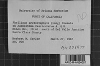 Fomes arctostaphyli image