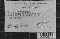 Fomes arctostaphyli image