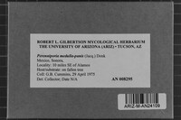 Image Associated With the Occurrence