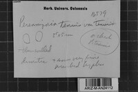 Image Associated With the Occurrence