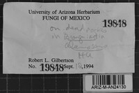 Image Associated With the Occurrence