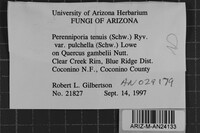 Image Associated With the Occurrence