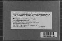 Image Associated With the Occurrence