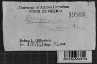 Image Associated With the Occurrence