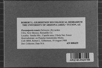 Image Associated With the Occurrence