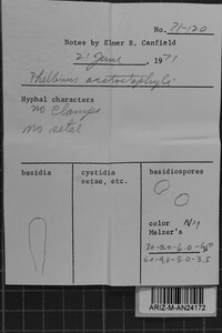 Fomes arctostaphyli image
