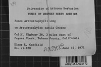 Fomes arctostaphyli image