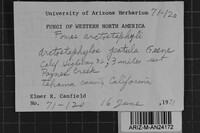 Fomes arctostaphyli image