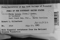 Image Associated With the Occurrence