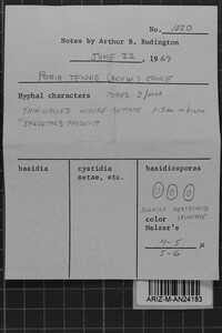 Image Associated With the Occurrence