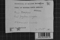 Image Associated With the Occurrence