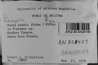 Image Associated With the Occurrence