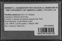 Image Associated With the Occurrence