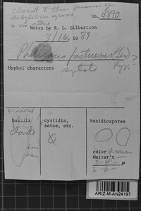 Image Associated With the Occurrence