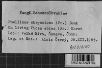 Image Associated With the Occurrence