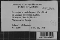 Image Associated With the Occurrence