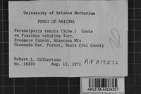 Image Associated With the Occurrence