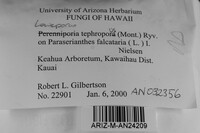 Loweporus tephroporus image