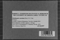 Image Associated With the Occurrence