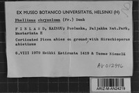 Image Associated With the Occurrence