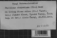 Image Associated With the Occurrence